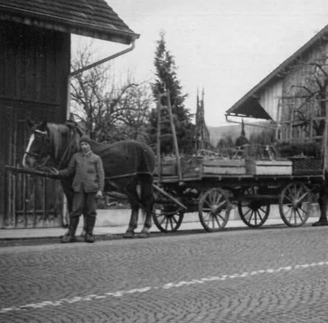 Schwarzweissfoto der Füllemann Baumschule aus dem Jahr 1975